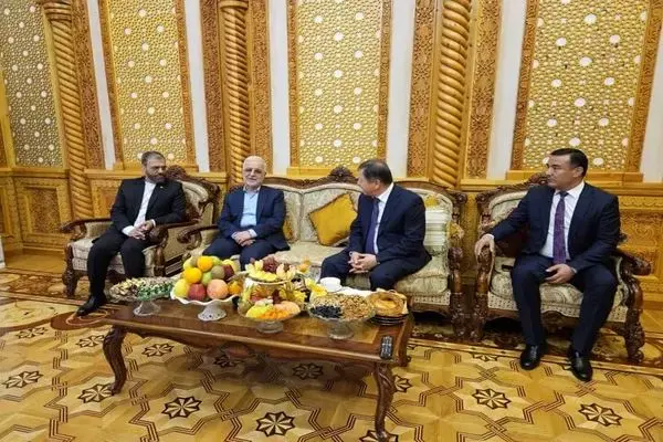 وزیر کشور وارد جمهوری تاجیکستان شد
