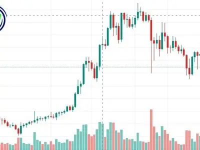 چطوری از پرایس اکشن با سبک RTM کسب در آمد دلاری داشته باشیم - تبریز فایننس