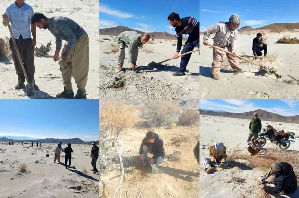 هم‌افزایی ملی برای مهار ریزگردها/ کاشت گز در حاشیه تالاب های طشک و بختگان