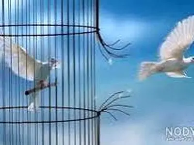 ۱۶۸ زندانی مالی در آذربایجان غربی آزاد شدند