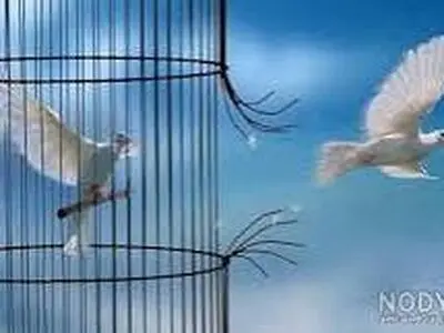 ۱۶۸ زندانی مالی در آذربایجان غربی آزاد شدند