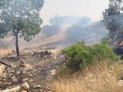 ۱۰ هکتار از مراتع جنگلی گیلانغرب در آتش سوخت