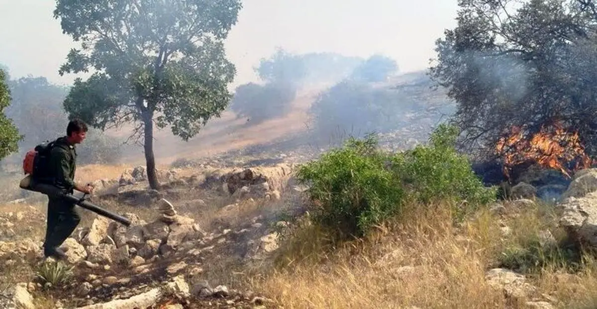 ۱۰ هکتار از مراتع جنگلی گیلانغرب در آتش سوخت