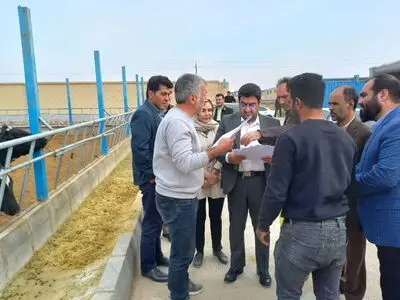 اظهار تاسف فرماندار ویژه شهرستان ری از تخریب‌های مجتمع دامپروری دام گستر فشافویه 