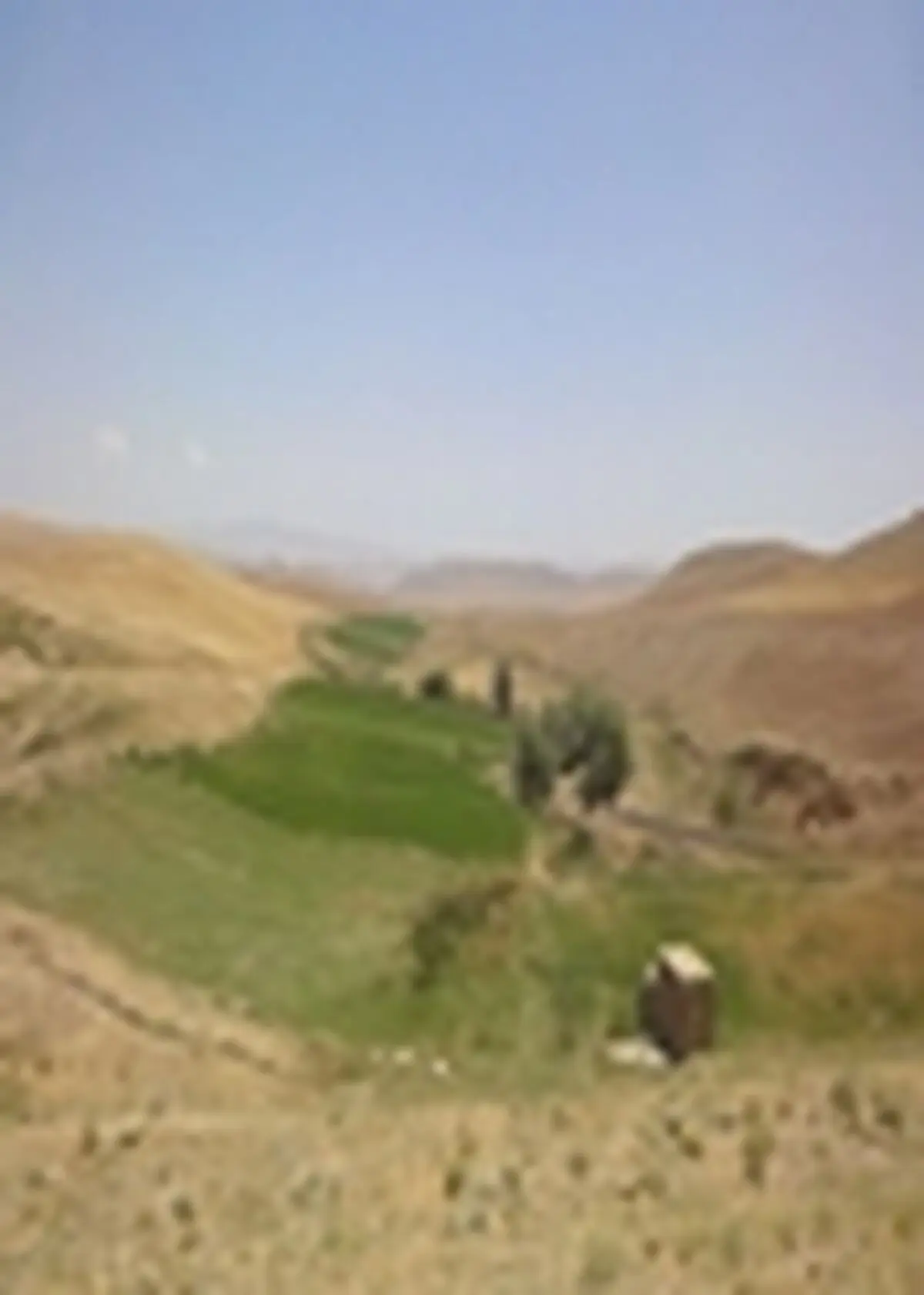 حفاظت بیش از ۱۹ هزار هکتار از مراتع شهرستان خرمدره