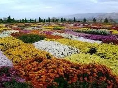 بیش از ۳۰۰ گونه گیاهی در بخش‌های مختلف در باغ گیاه‌شناسی زاگرس کاشته و نگهداری می‌شوند