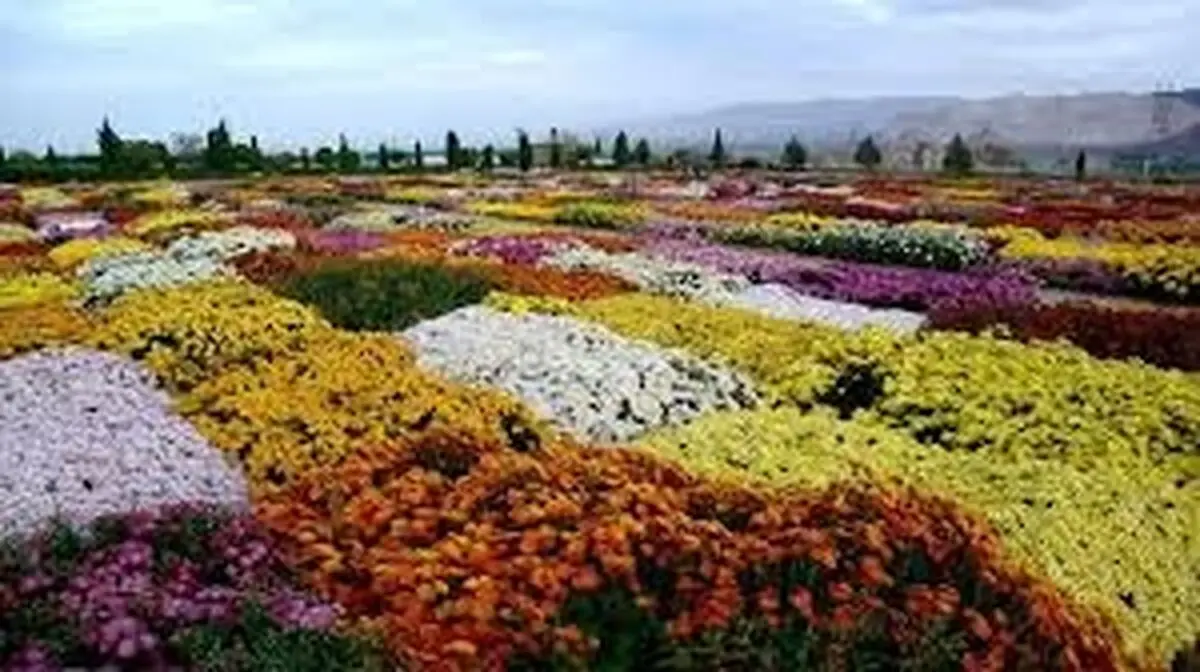 بیش از ۳۰۰ گونه گیاهی در بخش‌های مختلف در باغ گیاه‌شناسی زاگرس کاشته و نگهداری می‌شوند