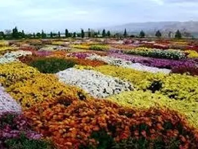 بیش از ۳۰۰ گونه گیاهی در بخش‌های مختلف در باغ گیاه‌شناسی زاگرس کاشته و نگهداری می‌شوند