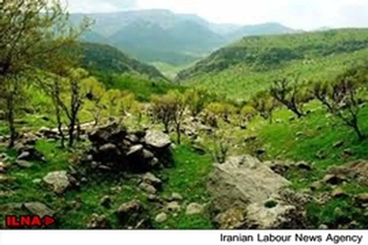 کابوس‌های تمام نشدنی جنگل‌های زاگرس ادامه دارد