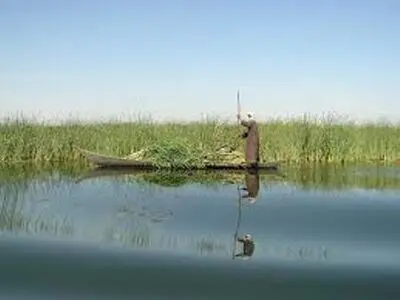 بررسی مشکل ریزگردها و حقآبه سیستان در شورای عالی شهرسازی