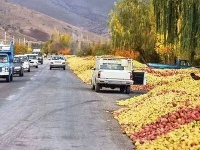 برخورد جدی با متخلفان انباشت سیب در حاشیه جاده های آذربایجان غربی
