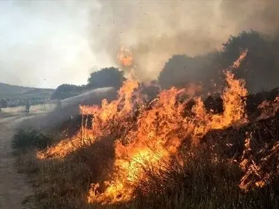 آتش‌سوزی در مراتع اردل؛ نابودی ۱۰ خرمن گندم و ۲۲ هکتار زمین