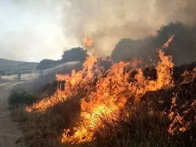 آتش‌سوزی در مراتع اردل؛ نابودی ۱۰ خرمن گندم و ۲۲ هکتار زمین