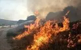 آتش‌سوزی در مراتع اردل؛ نابودی ۱۰ خرمن گندم و ۲۲ هکتار زمین