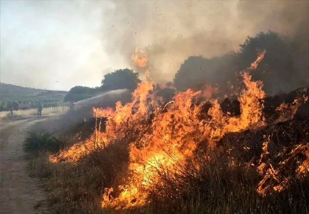 آتش‌سوزی در مراتع اردل؛ نابودی ۱۰ خرمن گندم و ۲۲ هکتار زمین