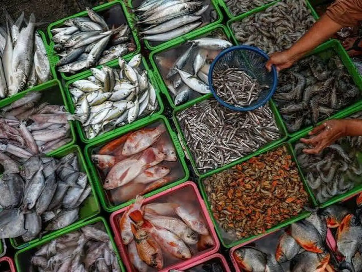 صادرات بیش از ۳۸ هزار تن ماهی و خوراک آبزیان از چهارمحال و بختیاری به بازارهای خارجی