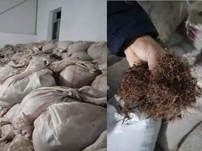 10 تُن چای غیر بهداشتی در سمنان کشف و توقیف شد