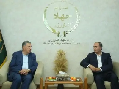 اقتصاد کشور با حضور بخش خصوصی بهره‌ورتر و نوآورتر خواهد بود
