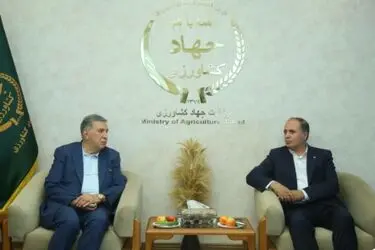 اقتصاد کشور با حضور بخش خصوصی بهره‌ورتر و نوآورتر خواهد بود
