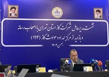 ۱۱ درصد گاز کشور در تهران مصرف می شود