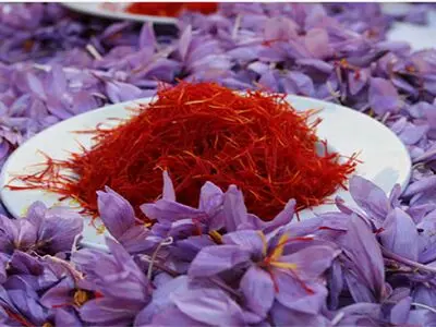کاهش ۱۲ تا ۱۵ درصدی فروش زعفران/ خطر فراموشی زعفران ایران در بازارهای جهانی