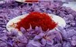 کاهش ۱۲ تا ۱۵ درصدی فروش زعفران/ خطر فراموشی زعفران ایران در بازارهای جهانی
