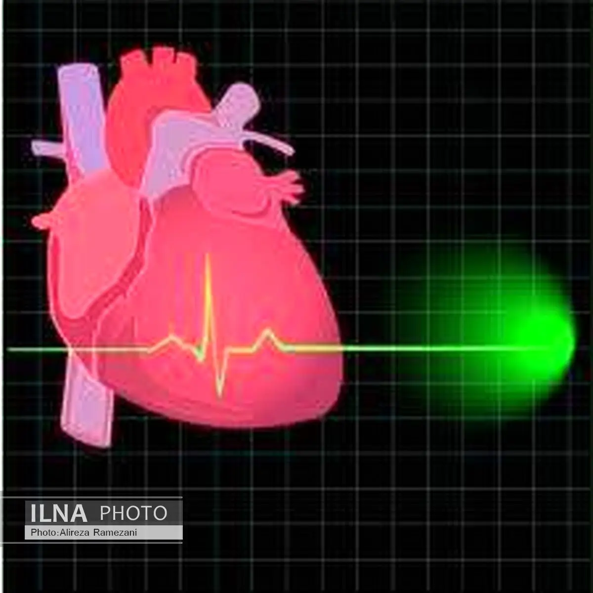 رئیس شورای اسلامی بخش دیشموک درگذشت