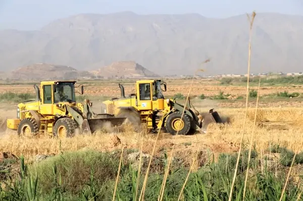 مزارع آلوده گندم و جو حومه شیراز تخریب شد