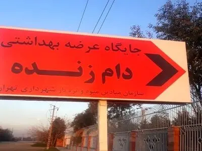 گوسفند و دام زنده شهرداری را در جایگاه عرضه دام خریداری کنید