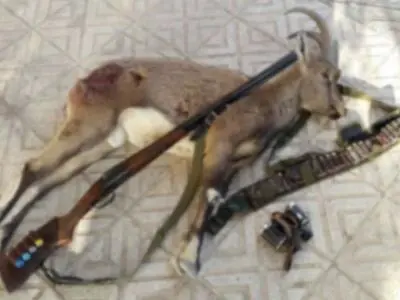 دستگیری متخلف شکار و صید در بندرلنگه