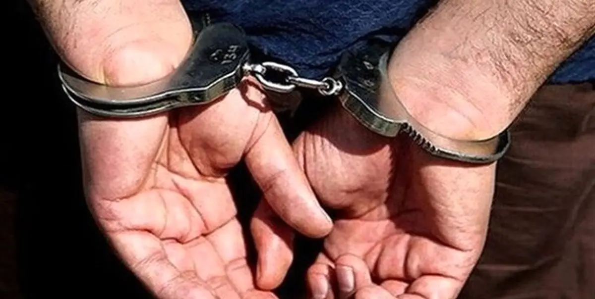 دستگیری ۱۴۲ سارق و کشف ۷۸ فقره سرقت در خمام
