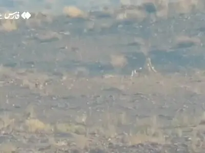 مشاهدۀ ۳ یوزپلنگ در میاندشت جاجرم + فیلم