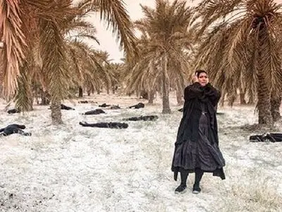 «مهاجران» اثر هنرمند فارسی برگزیده جشنواره فیلم و حرکت بارسلونا شد