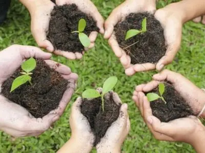 پویش «یک نهال، یک زندگی» برگزار می‌شود