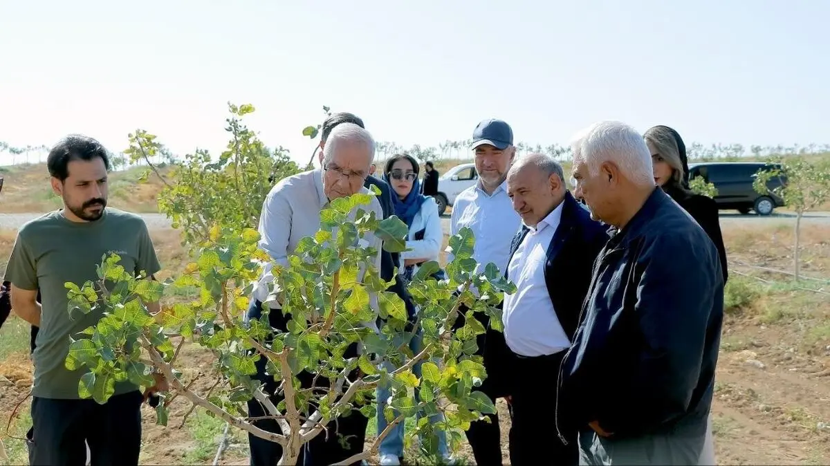 سرمایه‌گذاران داغستانی از ظرفیت‌های سرمایه‌گذاری منطقه آزاد ماکو بازدید کردند