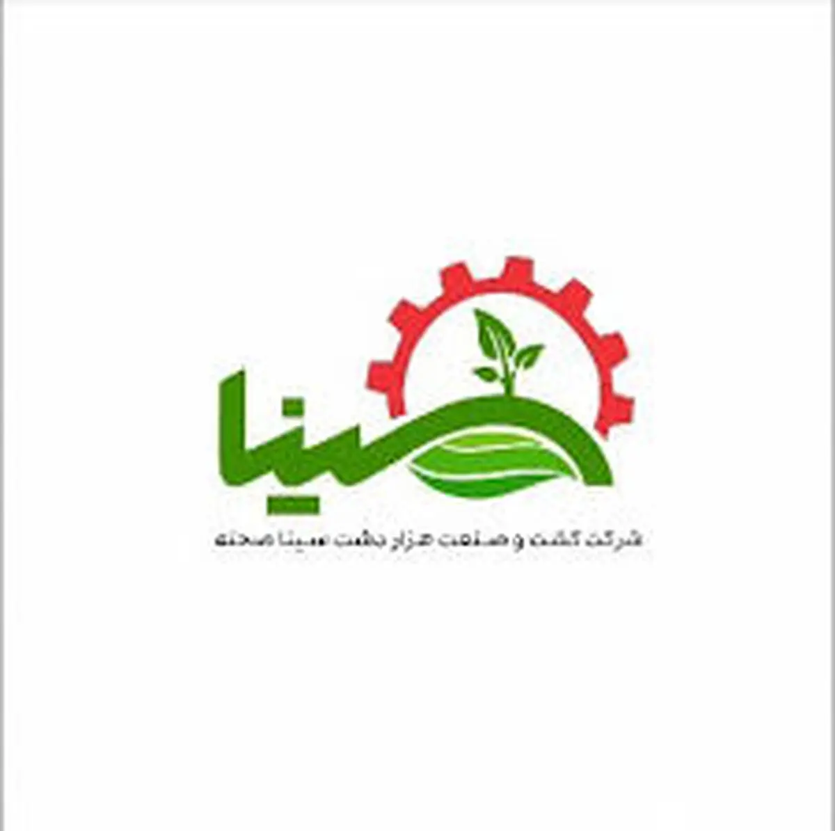دنیای رنگارنگ غذاها با محصولات «هزار دشت سینا»
