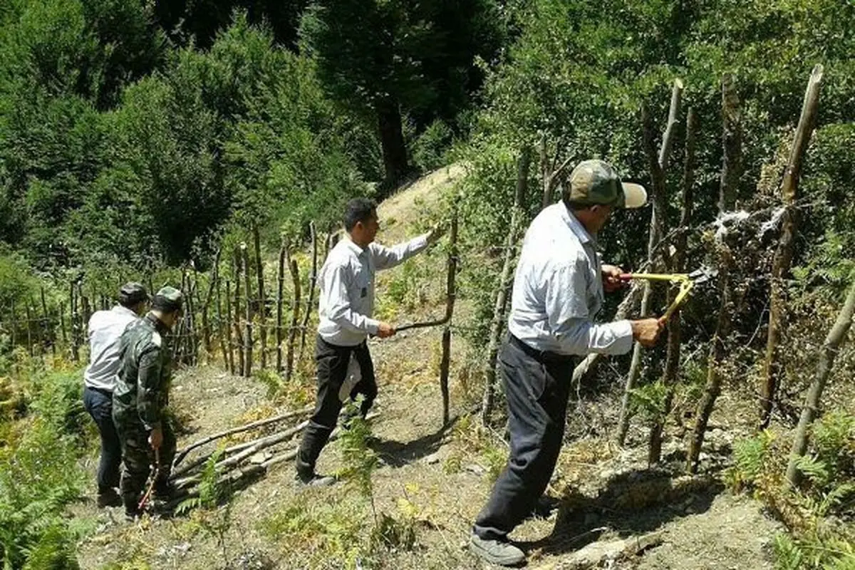 رفع تصرف ۱۶۰۰ متر مربع از اراضی ملی در روستای فوشه فومن