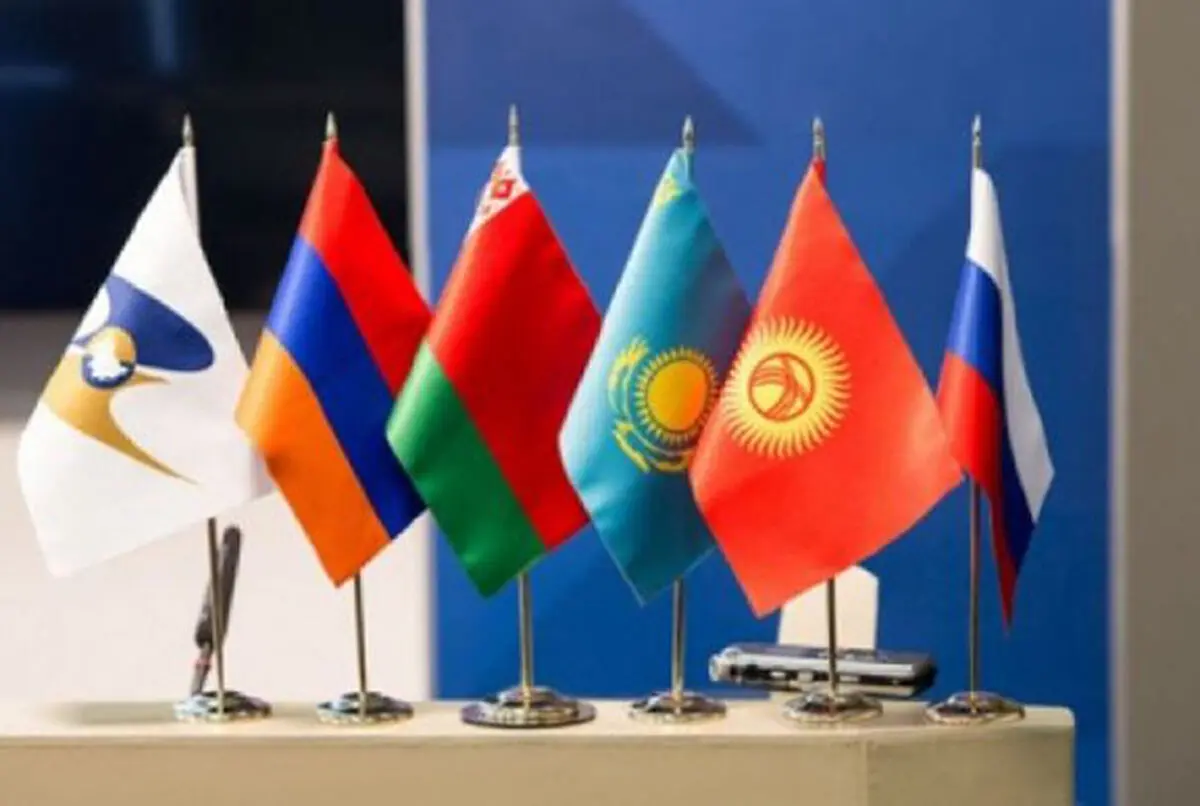 Berlin pursuing SPV final requirements: German FM