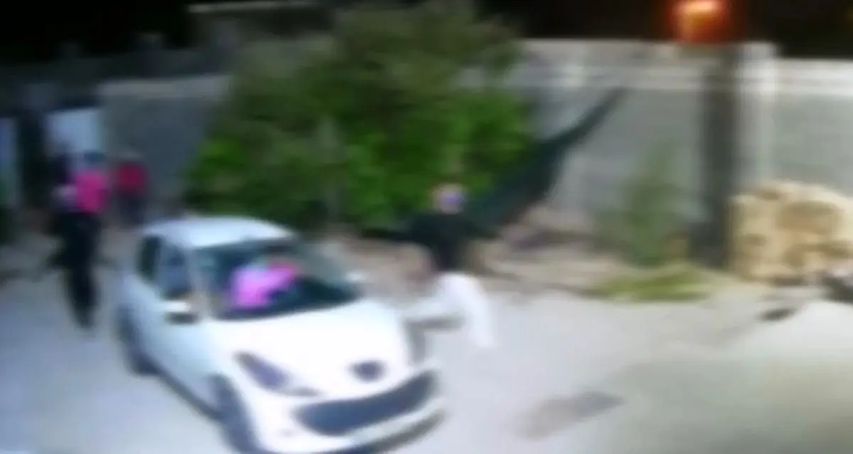 دستگیری عاملان رعب و وحشت در هرمزگان + فیلم