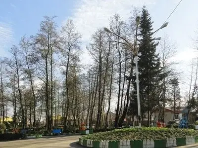 تداوم هوای گرم و تابستانی گیلان در نیمه زمستان