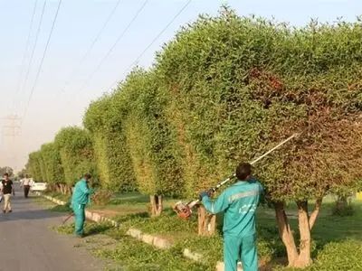 سرقت دستگاه‌های هرس کارگران شهرداری آبادان با تهدید اسلحه
