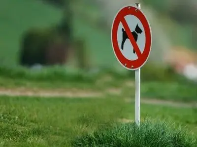 دستور عملیاتی دادستان قزوین برای مقابله با حضور حیوانات در پارک‌ها و اماکن عمومی