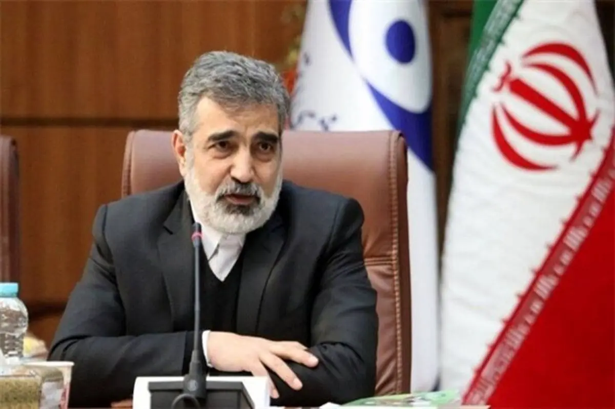 صنعت هستهای ریشه در کشور ما دارد و از بین نمیرود