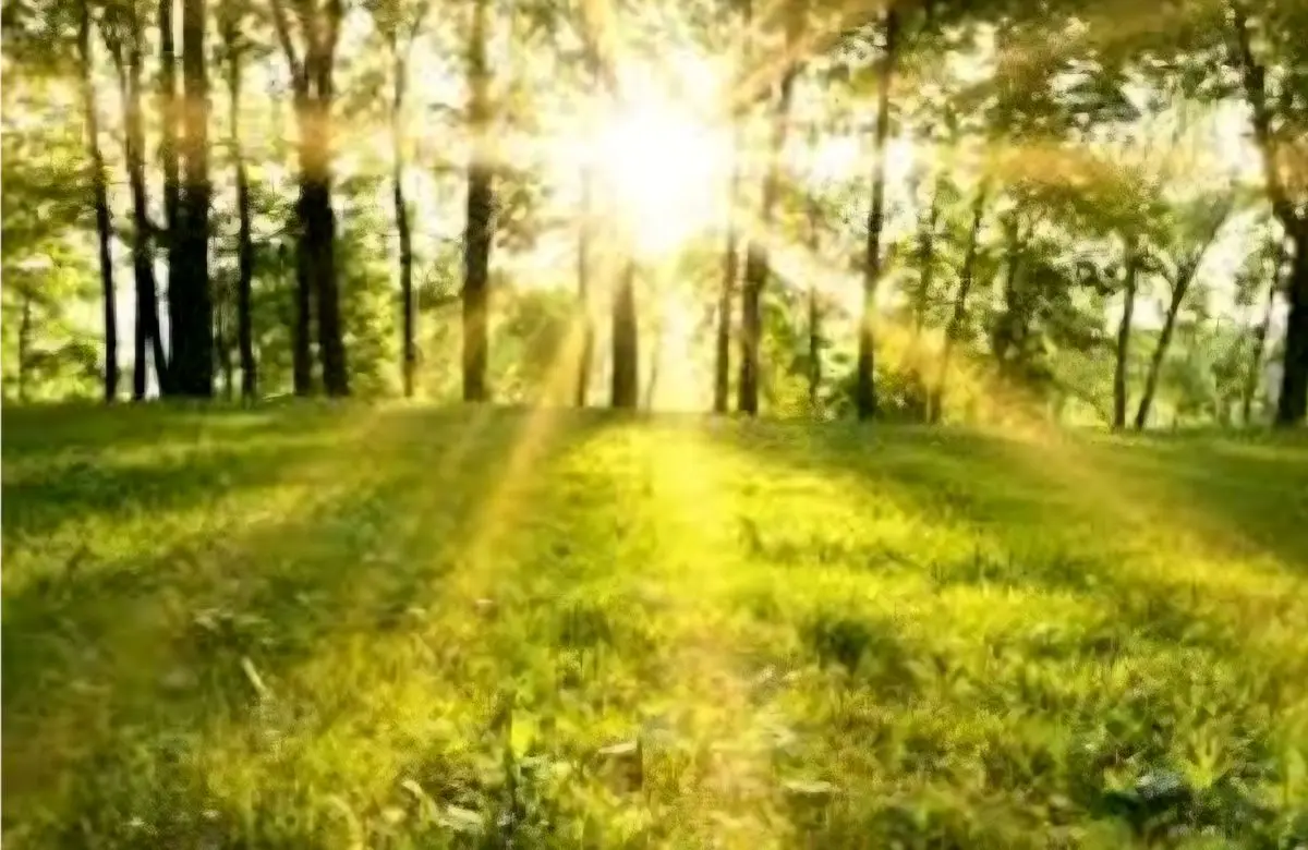 آسمان مازندران صاف تا نیمه‌ابری همراه با افزایش دما/ پیش‌بینی رگبارهای پراکنده در ارتفاعات تا پایان هفته