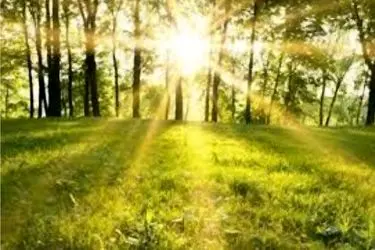 آسمان مازندران صاف تا نیمه‌ابری همراه با افزایش دما/ پیش‌بینی رگبارهای پراکنده در ارتفاعات تا پایان هفته