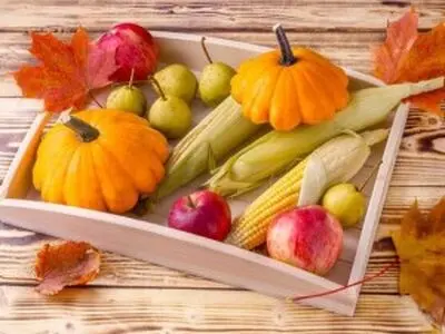 بهترین مواد غذایی برای تقویت سیستم ایمنی بدن در فصل پاییز