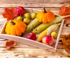 بهترین مواد غذایی برای تقویت سیستم ایمنی بدن در فصل پاییز
