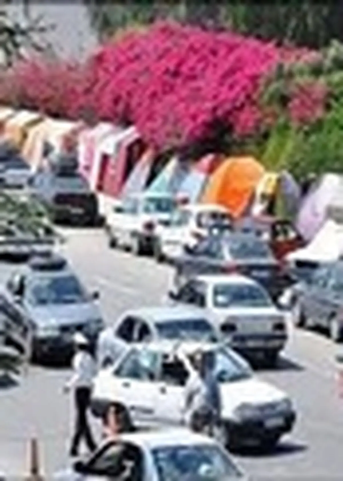 هیچ شکایتی در سامانه ۰۹۶۶۹ ثبت نشد