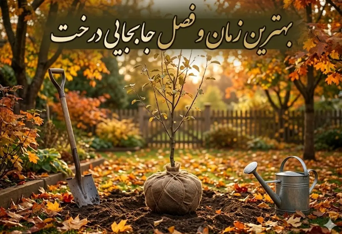 بهترین آب و هوا برای جابجایی درخت{بهترین فصل انتقال درخت}
