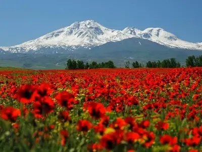 سنددار شدن کلیه عرصه‌های ملی استان اردبیل تا سال آینده / ییلاقات قله سبلان سنددار شد